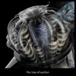 Dyson V8 Cyclone Cordless Vacuum - Image 6